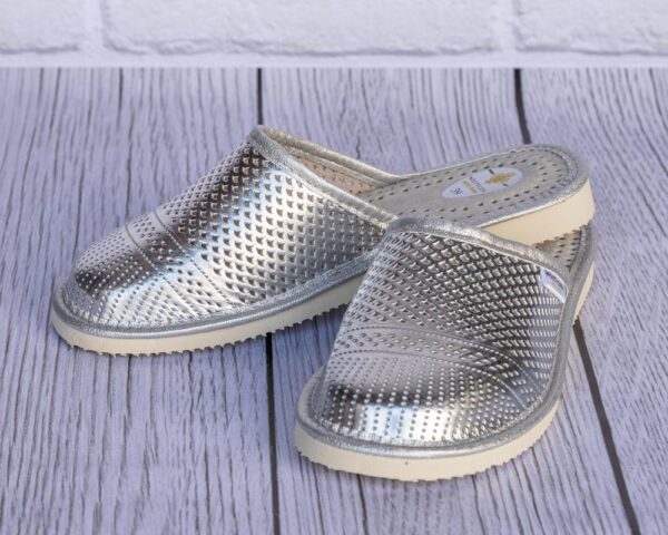 Women's Slippers, Silver Slippers, Closed Toe - Wojtyczka