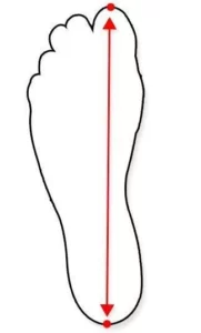 How to measure the foot