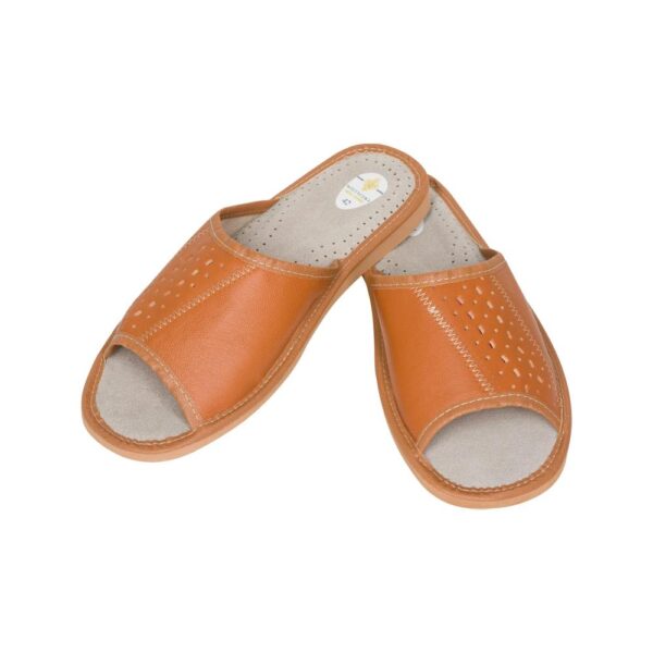 Men's Slippers - Classic Brown Slippers